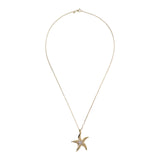 Necklace With Star Pendant