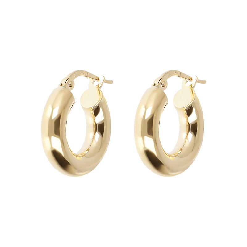 Small Hoop Earrings