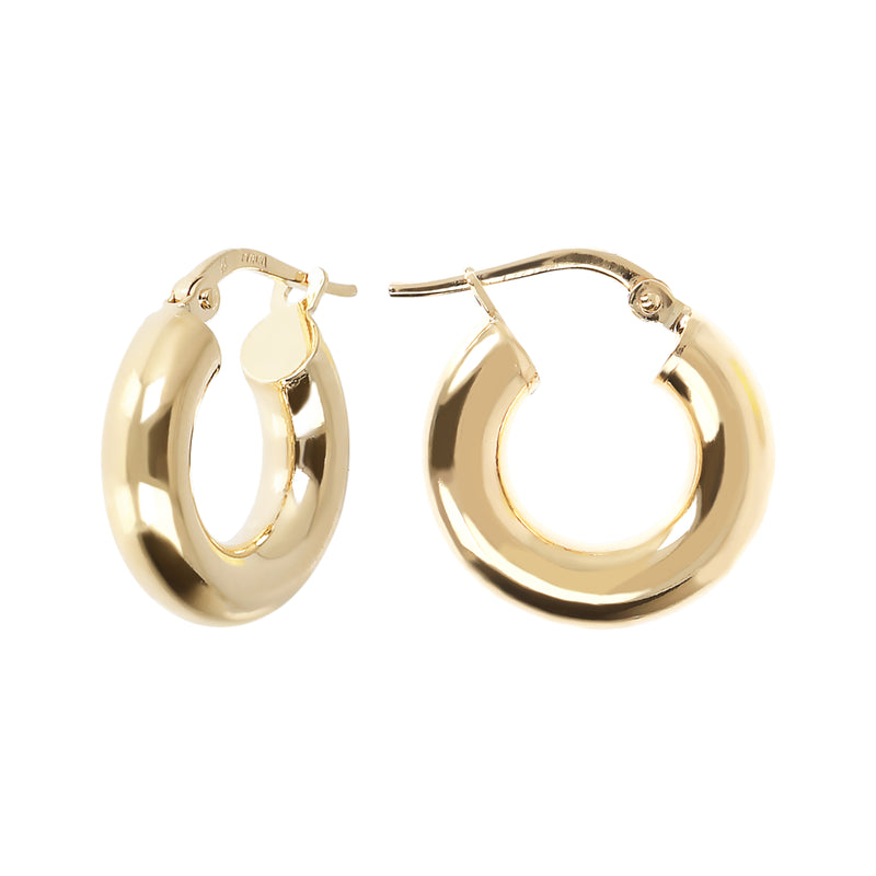 Small Hoop Earrings